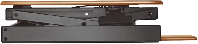 Rocelco 32" Height Adjustable Standing Desk Converter - Sit Stand Computer Workstation Riser - Dual Monitor Retractable Keyboard Tray Gas Spring Assist - Teak Wood Grain (R EADRT)