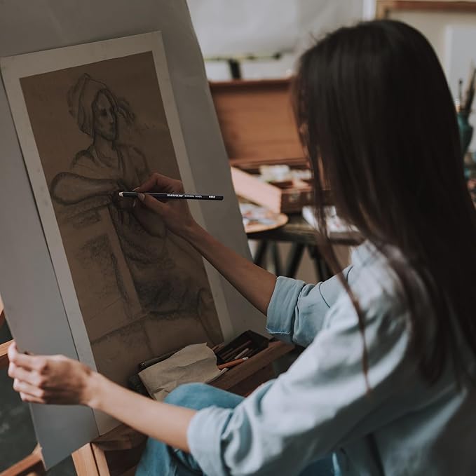 Charcoal Pencils for Drawing, 10 Pieces (S-Soft, Ex-Soft, Soft, Medium, & Hard) Black Charcoal Pencils for Sketching, Shading, Blending