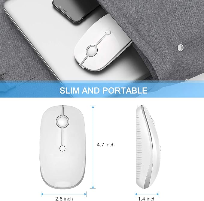 Type C Wireless Mouse,Vssoplor USB C Mouse Dual Mode 2.4G Cordless Mice with Nano USB and Type C Receiver Compatible with PC, Laptop, MacBook and All Type C Devices-White Silver