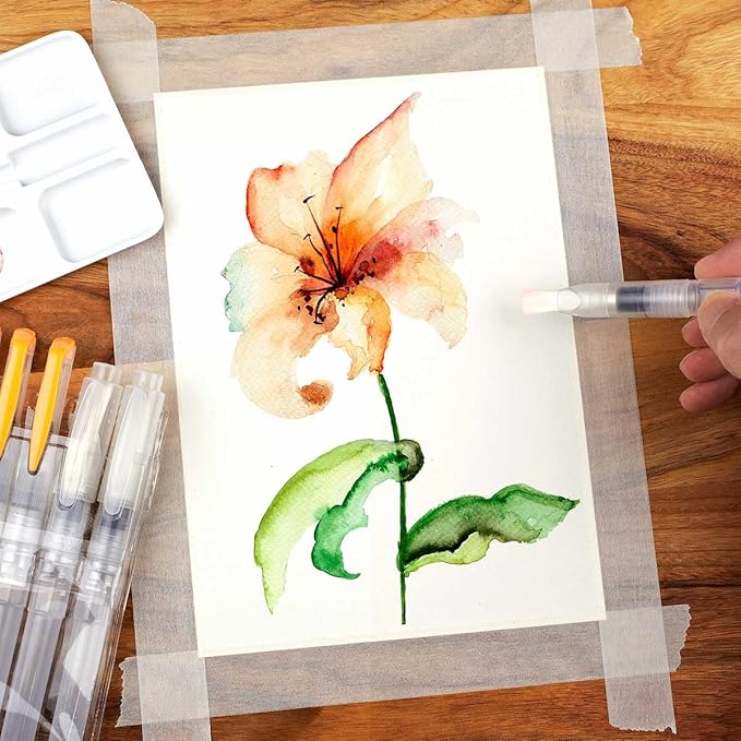 aquapens Water Brush Pens for Painting - 6 Pack - Water Drawing Brush Pens with 6 Different nibs - Portable Watercolor Brush Pens for Artists - Water Brush Pens for Kids and Adults