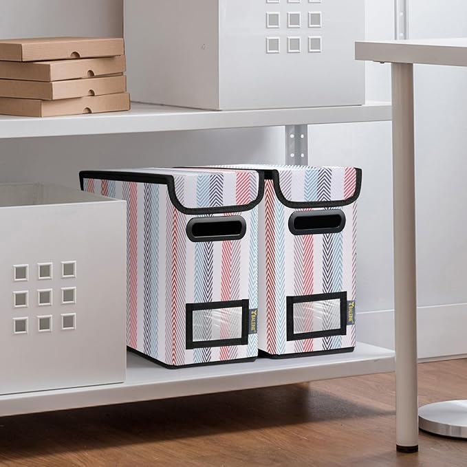 BALEINE File Organizer Box with Lid, Collapsible File Folder Organizer with Plastic Slide, Hanging File Folder Box for Office Document Storage (1 Pack, Color Stripe, S)