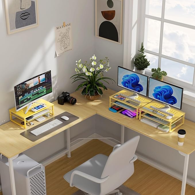 gianotter 2-Tier Metal Monitor Stand Riser, Desk Organizer for Monitor, Office Desk Storage Organizer for Office Supplies (Gold)