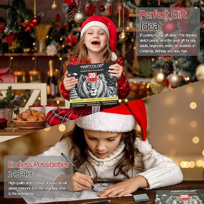 Drawing Sketching Pencil Set, 20 Pieces, Graphite Pencils (14B-4H), Charcoal Sticks, Stump, Eraser, Sharpeners, Ideal for Drawing Art, Sketching, Artist Pencils for Beginners & Pro Artists