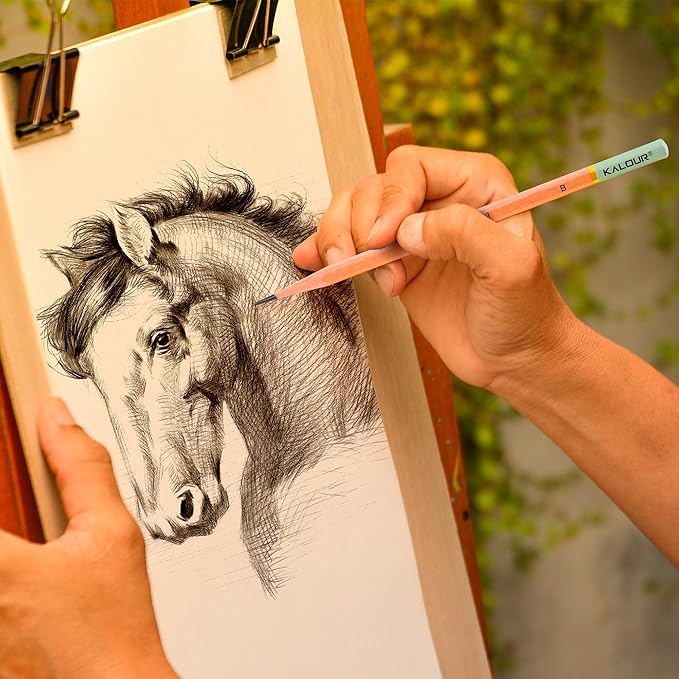 KALOUR 18-Piece Professional Sketch Pencil Set - Includes 5H to 14B Pencils, Vinyl Eraser, Kneaded Eraser,Sharpener and Paper Blending Stump - Ideal for Artists and Beginners