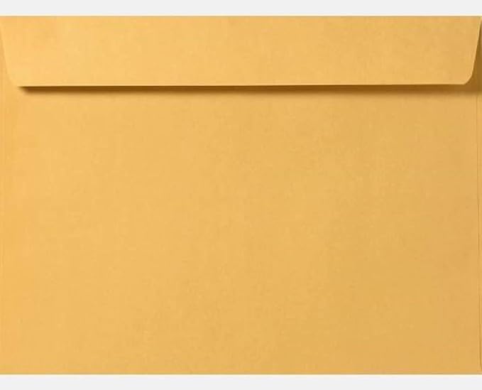Limited Papers (TM) Booklet Envelopes, (Open Side) Brown Kraft, Gummed Seal, 28 Pound, Heavyweight, For Mailing And More. (1000, 10 x 13)