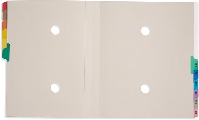 Blue Summit Expanding Monthly File Organizer, Letter Size 12 Month File Folder Organizer with Dividers, Paper Sorter for Desk and Documents