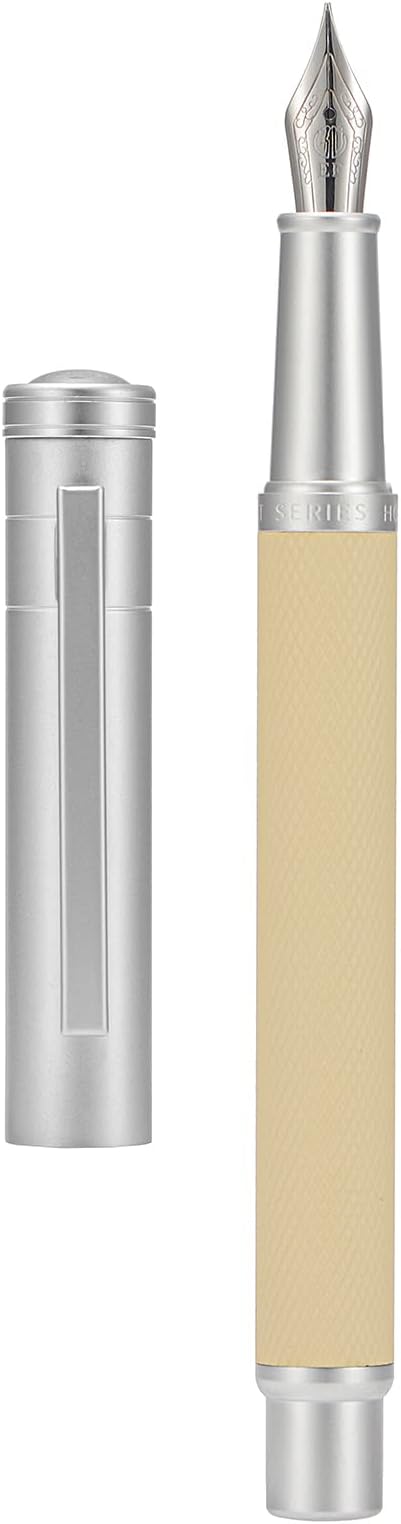 Silver Birch Forest Aluminum Fountain Pen Extra Fine Nib with Converter and Metal Case Set By Asvine