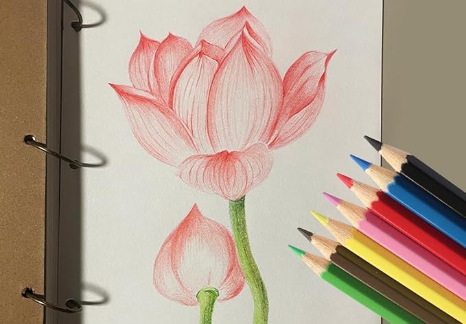 SKKSTATIONERY 144Pcs Colored Pencils, Pre-sharpened, coloring pencils for adults kids Bulk Back to School Supplies For Teachers 12 Colors, 12pcs/box, Total: 144Pcs.