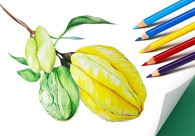 S & E TEACHER'S EDITION 144Pcs Colored Pencils, Pre-sharpened, coloring pencils for adults kids Bulk Back to School Supplies For Teachers 12 Colors, 12pcs/box, 12Boxes, Total: 144Pcs.