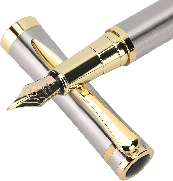Cheericome Fountain Pen - Luxury Fountain pen set for Men & Women - Ink Pen for Smooth Writing - Fountain Pen Fine Nib，Includes 10 Ink Cartridges and Ink Refill Converter - Silver