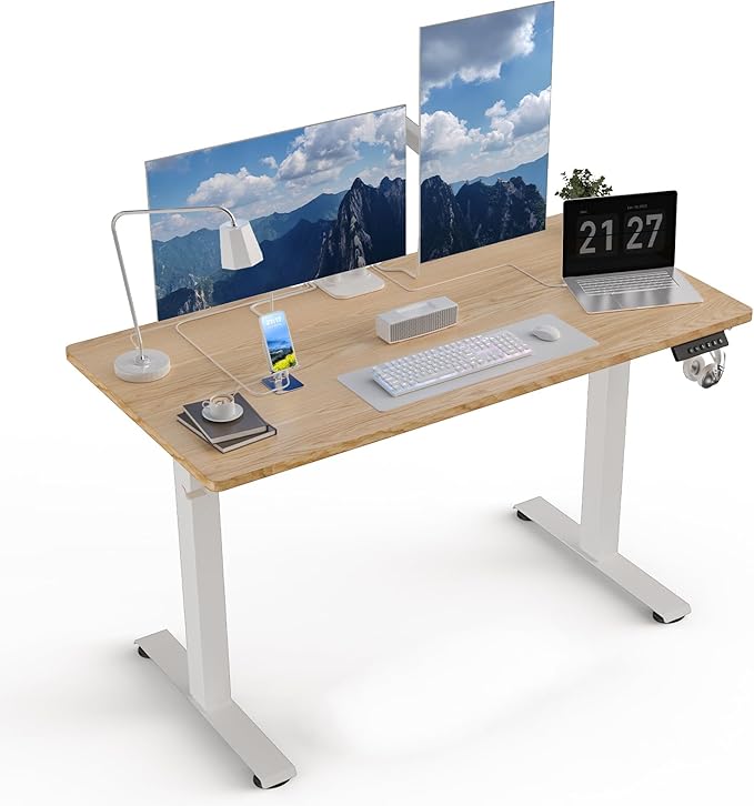 48 * 24 Electric Standing Desk, Adjustable Height Sit Stand Up Desk, Motorized Home Office Computer Gaming Workstation Desk