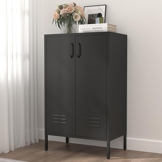 Metal Storage Cabinet,Metal Cabinet with Adjustable Shelves, 2 Door Locker Cabinets with Doors,Accent Cabinets for Living Room,School,Office