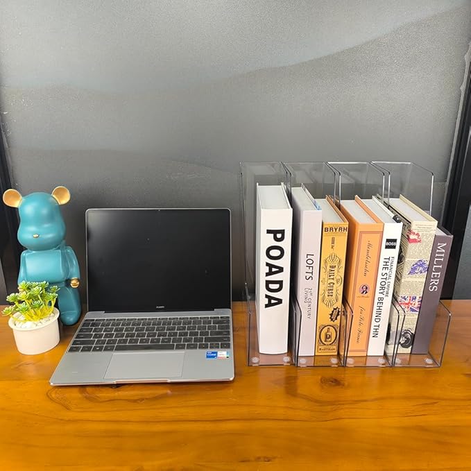 Vertical File Holder, 4 pack Clear Plastic Document Organizer and Clear Magazine Organizer, Multi-purpose Document Organizer for Home Office