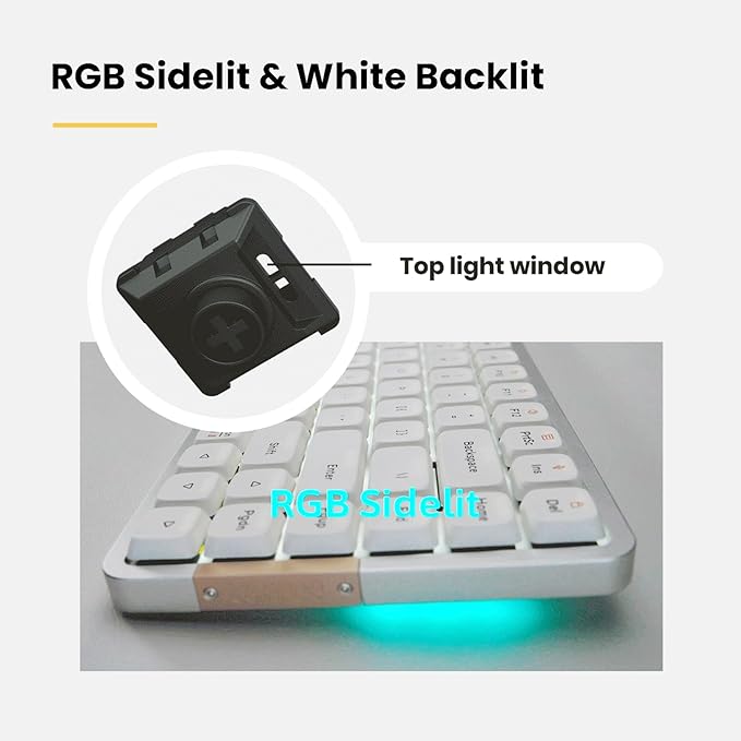 LOFREE Flow Low Profile Mechanical Keyboard, 100 Keys Rechargeable Wireless Keyboards with Bluetooth and Wired Connection for Windows, Mac OS/Black Phantom Tactile Switches