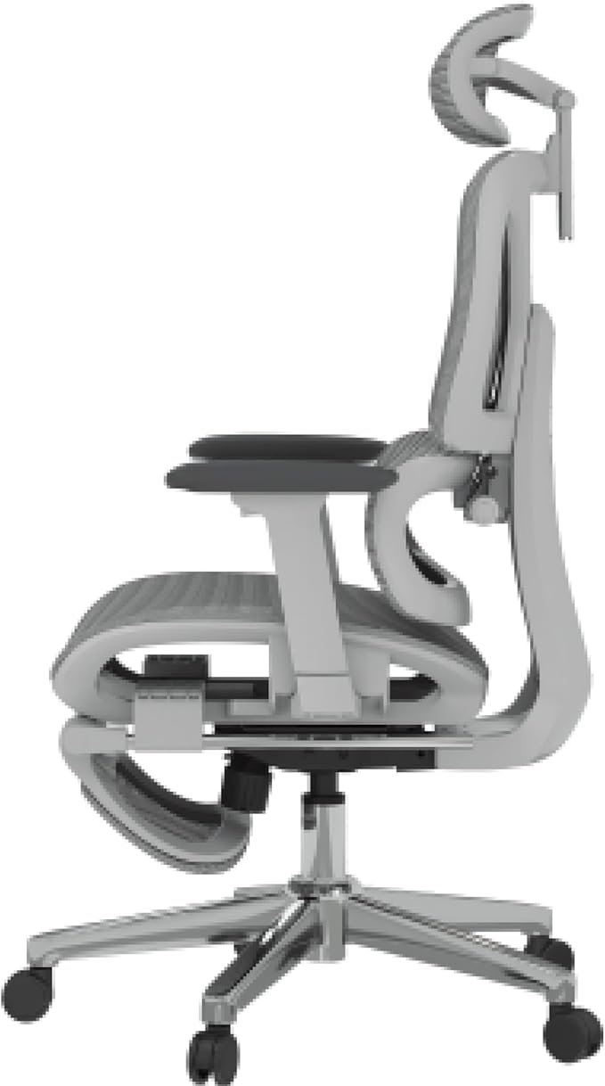 FLEXISPOT ErgoX Premium Ergonomic Office Chair with Footrest- Adjustable 3D Armrests, Dynamic Lumbar Support, Recline & Tilt Function, Mesh Seat, for Home & Office Use,Light Grey