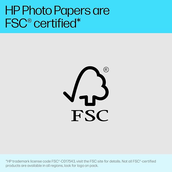 HP Advanced Photo Paper, Glossy, 4x12 in, 10 sheets (49V51A)