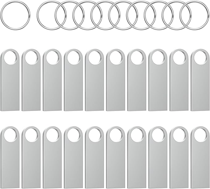 ABLAZE 2GB Flash Drive 20 Pack, Metal USB 2.0 Thumb Drives with Keychains USB Sticks Pendrives (Sliver)