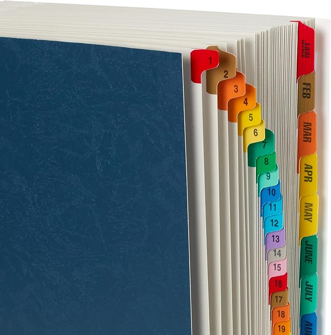 Blue Summit Expandable Monthly File Organizer, Ticker File Combo 31 Daily and 12 Monthly Tabs, Letter Size 12 Month Folder Organizer for Invoices and Documents