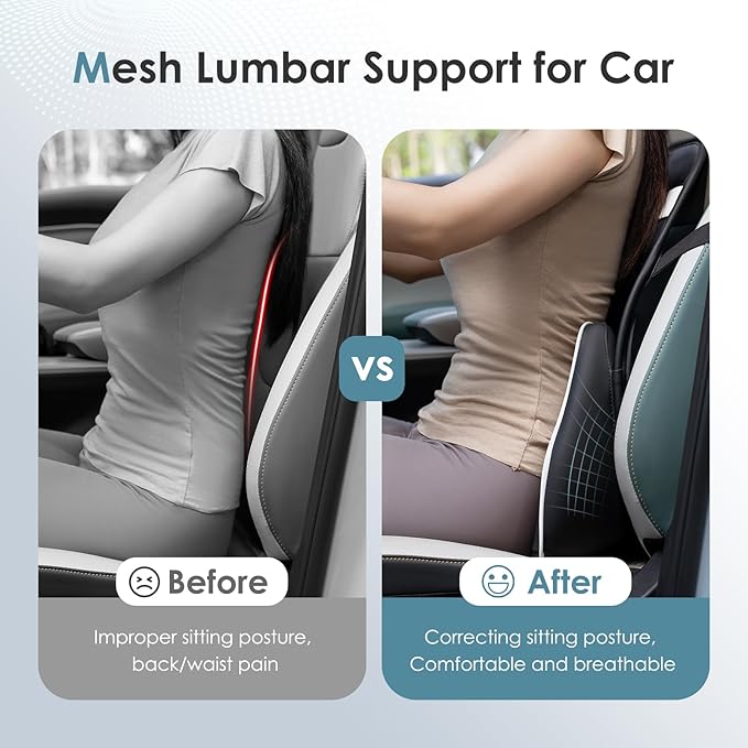 FLORICH Double Layer Breathable Mesh Lumbar Support Ergonomic Leather Lumbar Support Pillow with 3D Mesh Back Support and Adjustable Strap for CarSeat & Office Chair