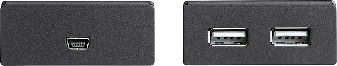 StarTech.com 4-Port USB 2.0 Extender - 130ft (40m) USB Over Cat5/Cat6 Extender - Compact USB 2.0 Over Ethernet Extender, TAA (USB2004EXTV)