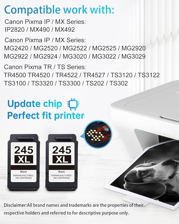 LEMERO 245XL Ink Cartridge Replacement for Canon 245XL Black Ink PG-245 245 XL Black Ink Cartridge Work with Canon Pixma MG2522 MG2500 MG2520 MX490 MX492 TR4520 TR4500 TS3322 TS202 Printer Ink (2Pack)