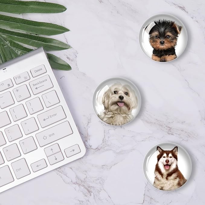 12Pcs Glass Refrigerator Magnet Fridge Sticker,Dog Fridge Magnets Decoration for Crafts,Strong Fridge Magnets for Kitchen, School,Office Whiteboard, Cabinet and Dishwasher