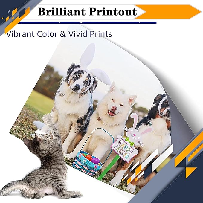 PG-260XL CL-261XL PG260 PG-260 CL261 CL-261 Ink Cartridges, Compatible for Canon TS6420a TS6420 TR7020a TR7020 TS5320 All in One Printers【High Print Volume with Chip Color*1