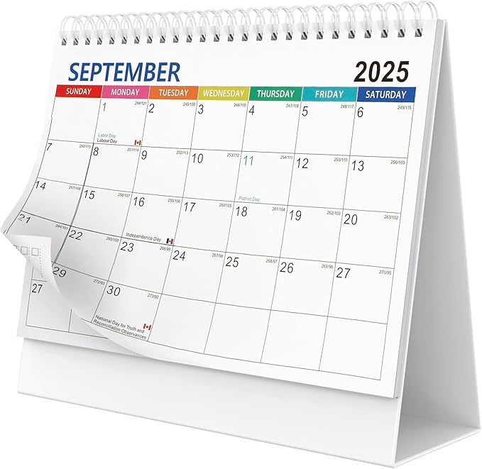 Desk Calendar 2025 planner, Covers Jul 2025-Jun 2026 with Monthly Plan, Notes and Tasks, Easy to Organizing for Family, Students, Home, School and Office