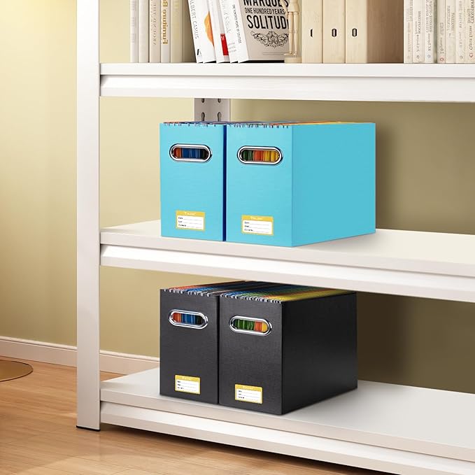 BALEINE File Organizer Box, Cardboard File Folder Organizer with Handle for Letter Size, Portable Collapsible Hanging Filing Box for Home Office Document Storage (4 Pack, Blue)