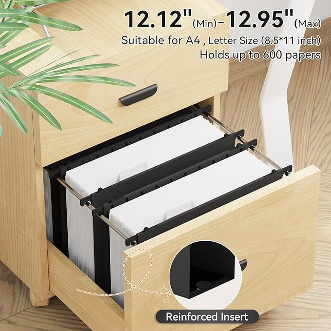 ANSOOK Plastic Hanging File Folders Letter Size, 3 Inch Reinforce Expanding File Folder,12 Pack Black Folders,File Cabinet Folders with Insertable Tabs,Accordion File Organizer for Office Home School