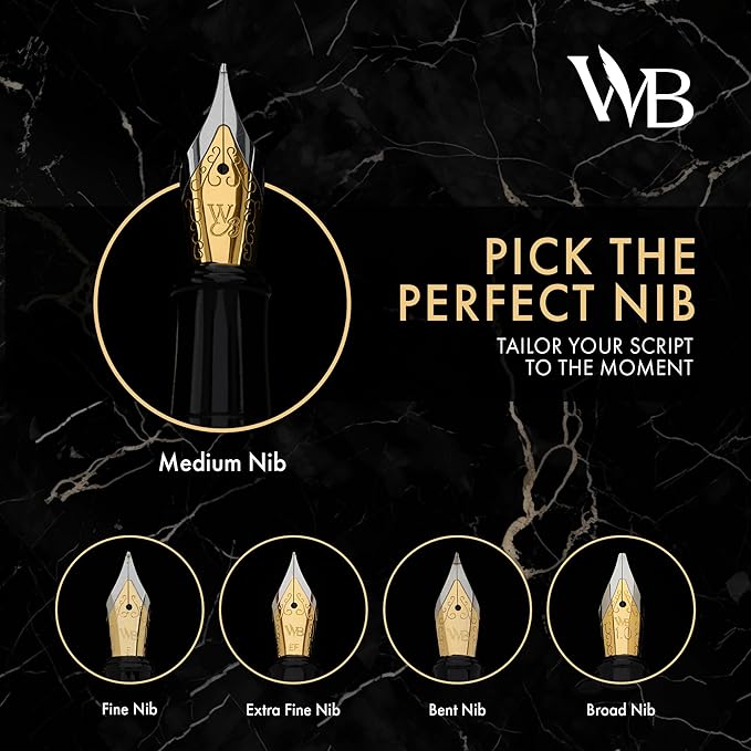 Wordsworth & Black Fountain Pen Set, Medium Nib, Includes 24 Ink Cartridges and Ink Refill Converter, Gift Case, Journaling, Calligraphy, Smooth Writing Pens [Silver Gold], Perfect for Men and Women