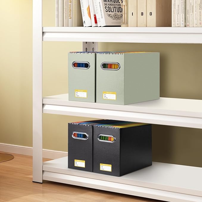 BALEINE File Organizer Box, Cardboard File Folder Organizer with Handle for Letter Size, Portable Collapsible Hanging Filing Box for Home Office Document Storage (4 Pack, Beige)