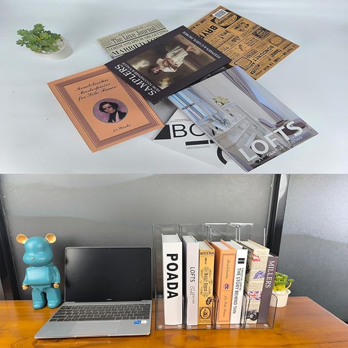 Vertical File Holder, 4 pack Clear Plastic Document Organizer and Clear Magazine Organizer, Multi-purpose Document Organizer for Home Office