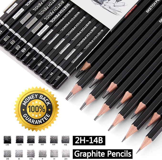 PANDAFLY Professional Drawing Sketching Pencil Set - 12 Pieces Graphite Pencils(14B - 2H), Ideal for Drawing Art, Sketching, Shading, Artist Pencils for Beginners & Pro Artists