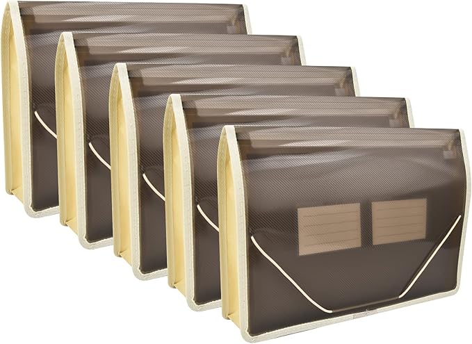 Expanding File Folder Document Organizer r with Flap and Cord Closure, Waterproof Transparent Document Bag, 2.8" Expansion, Letter A4 Expandable File Folder for Home School Office Organization，5 Pack