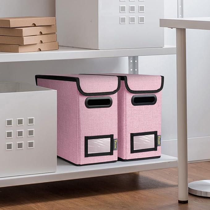 BALEINE File Organizer Box with Lid, Collapsible File Folder Organizer with Plastic Slide, Hanging File Folder Box for Office Document Storage (1 Pack, Pink, S)