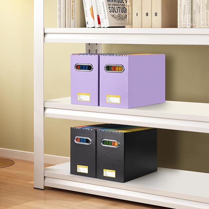 BALEINE File Organizer Box, Cardboard File Folder Organizer with Handle for Letter Size, Portable Collapsible Hanging Filing Box for Home Office Document Storage (4 Pack, Lavender)