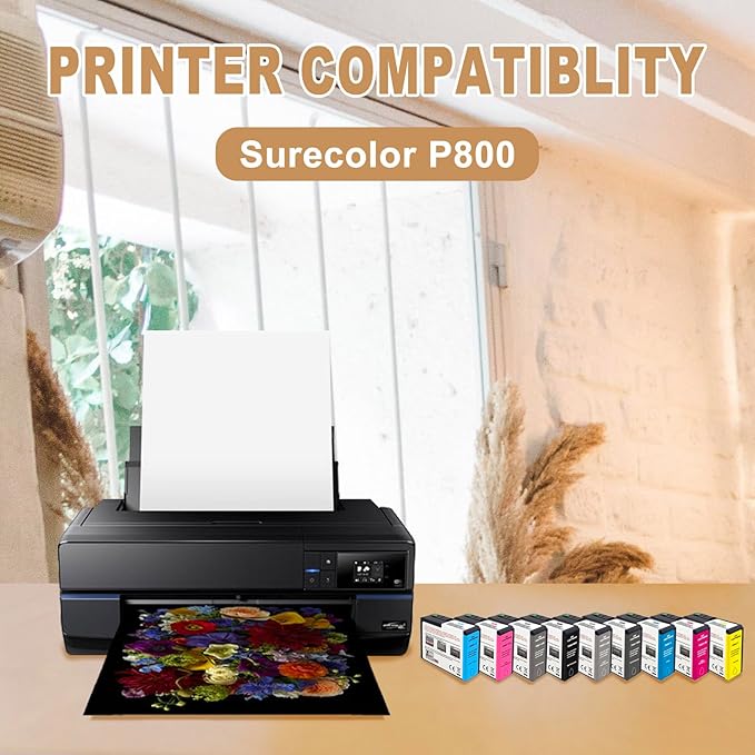 T850 Ink Cartridge Remanufactured T8507 T850700 Ink Cartridge Replacement for Surecolor P800 Printer(Light Black)