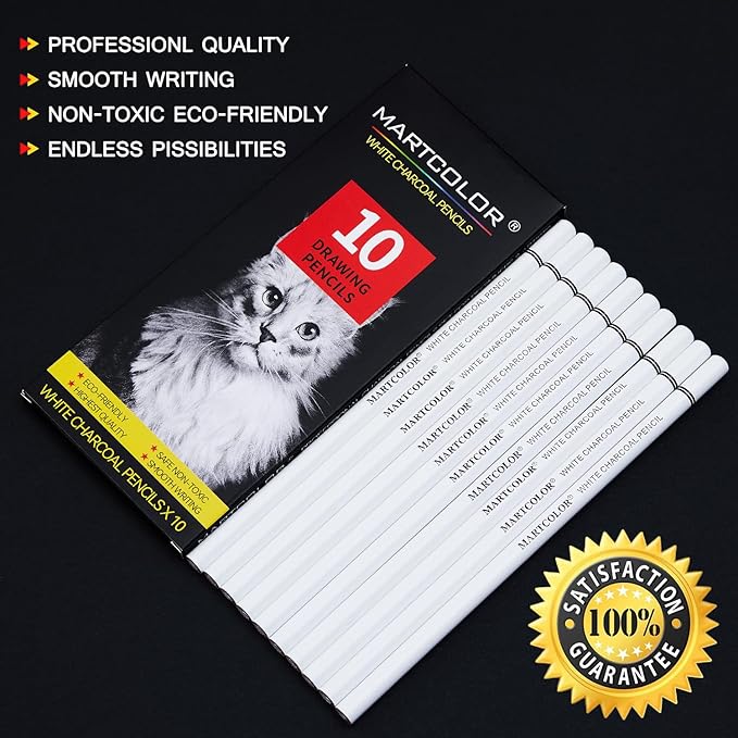 Professional White Charcoal Pencils Set, 10 Pieces Sketch Highlight Charcoal Pencils for Drawing, Sketching, Shading, Blending, White Chalk Pencils for Beginners & Artists