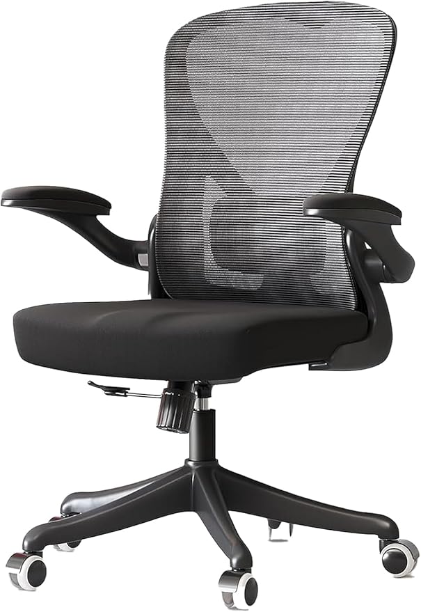 Ergonomic Office Chair with Adjustable Lumbar Support & Flip-Up Armrests - High Back Computer Desk Chair with Thickened Seat Cushion, Rolling Wheels for Home/Office Study Work (01Blcak)