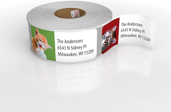 Customized Personalized Address Labels - Made in The USA by Kenco (500 Labels, Kittens)