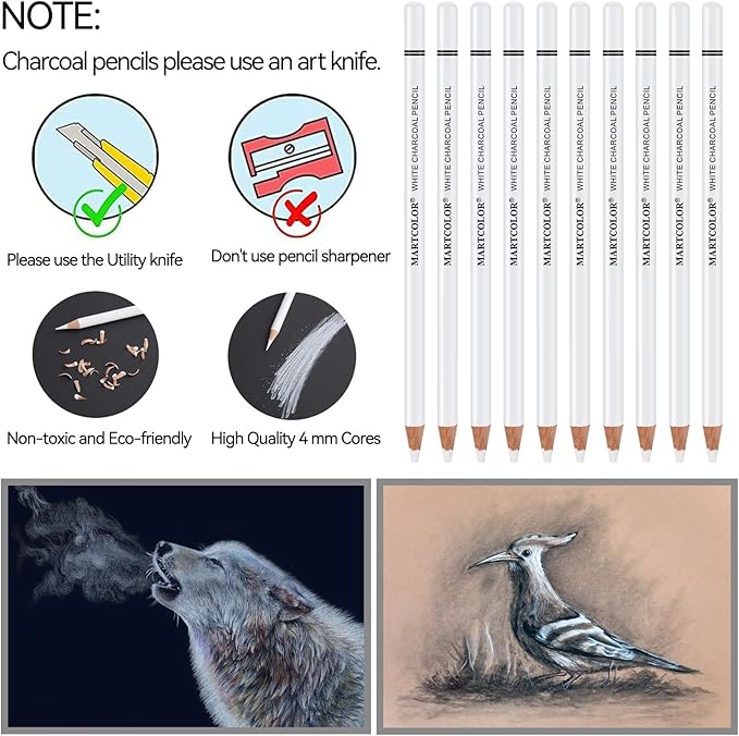 Professional White Charcoal Pencils Set, 10 Pieces Sketch Highlight Charcoal Pencils for Drawing, Sketching, Shading, Blending, White Chalk Pencils for Beginners & Artists