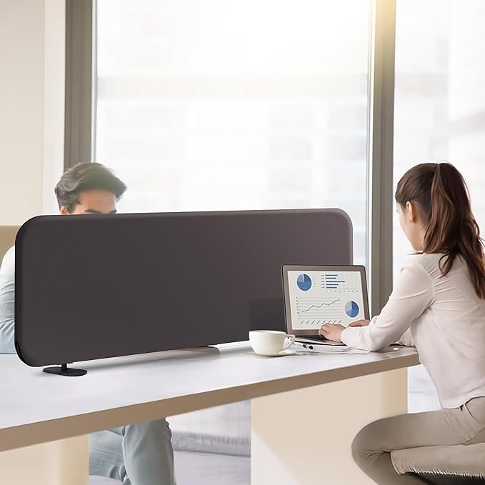 DECOLAB Desk Divider, Portable Desktop Privacy Panels Partition for Study, Home Office, Workplace, Students, Free Standing, Anti-Scratch, 48"x18", Iron