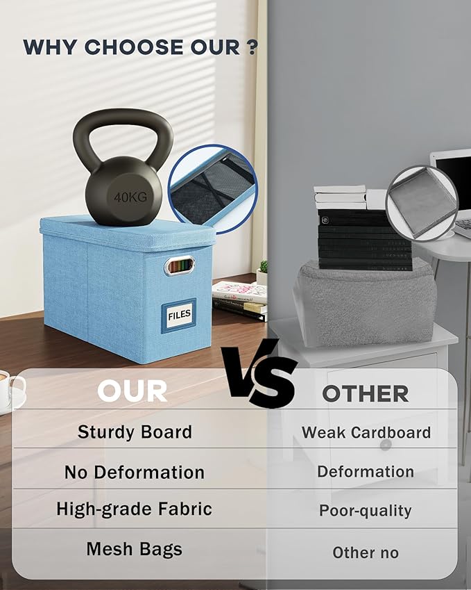 Oterri File Organizer Box with Lid, Hanging Filing File Box with Mesh Pocket, Document Organizer Box for Letter Files, Portable Storage Box with Smooth Sliding Rail for Office&Home (2 PCS, Sky-blue)