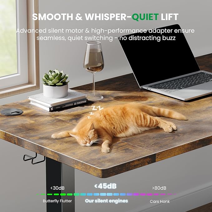 SIAGO Electric Standing Desk Adjustable - 48 x 24 Inch Sit Stand up Desk with Cable Management - 3 Memory Preset Adjustable Height Table