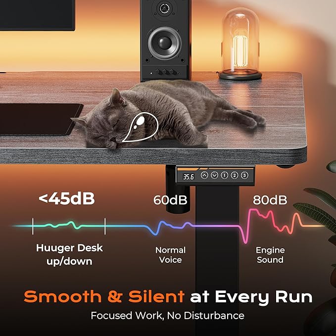 Huuger 48 x 28 Large Electric Standing Desk, Height Adjustable Desk, 27.6" Deep Desktop, Stand up Gaming, 2 Hooks, 3 Preset Heights, for Home Office, Grey