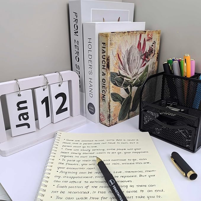 Fengtaiyuan 10P18Pro, Gel Ink Rollerball Pens, Black Ink, Bold Point 1.0mm, Writting Pens, Smooth, 18 Pack (Black-1.0mm)