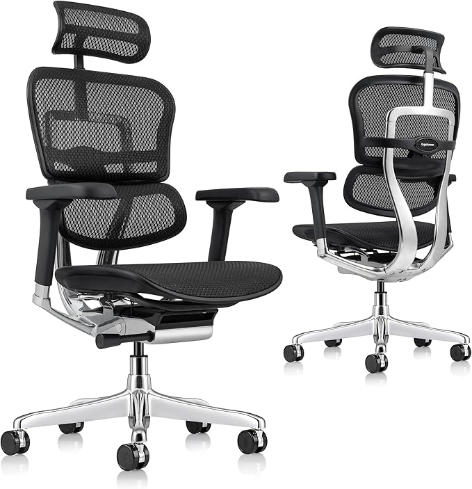 Ergohuman Eurotech ME7ERG GEN2 High Back Mesh Office, Computer, or Gaming Chair w/Tilt Tension Control & Lock, Back Angle/Height, Swivel Arms, Seat Height,/Depth, and Arm Height Adjustments, Black