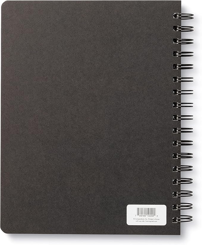 Compendium Spiral Notebook - Play All Day — A Designer Spiral Notebook with 192 Lined Pages, College Ruled, 7.5”W x 9.25”H