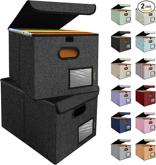 BALEINE File Organizer Box with Lid, Collapsible File Folder Organizer with Plastic Slide, Hanging File Folder Box for Office Document Storage (2 Pack, Black)